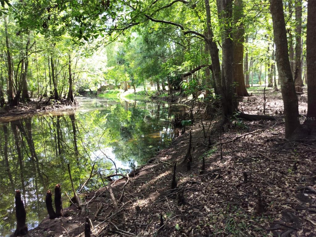 523 South Tuck Point Inverness, FL 34450 - Photo 12 of 28 a backyard of a house with lots of green space