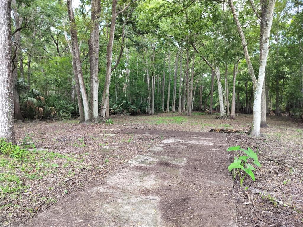 523 South Tuck Point Inverness, FL 34450 - Photo 16 of 28 a backyard of a house with lots of green space