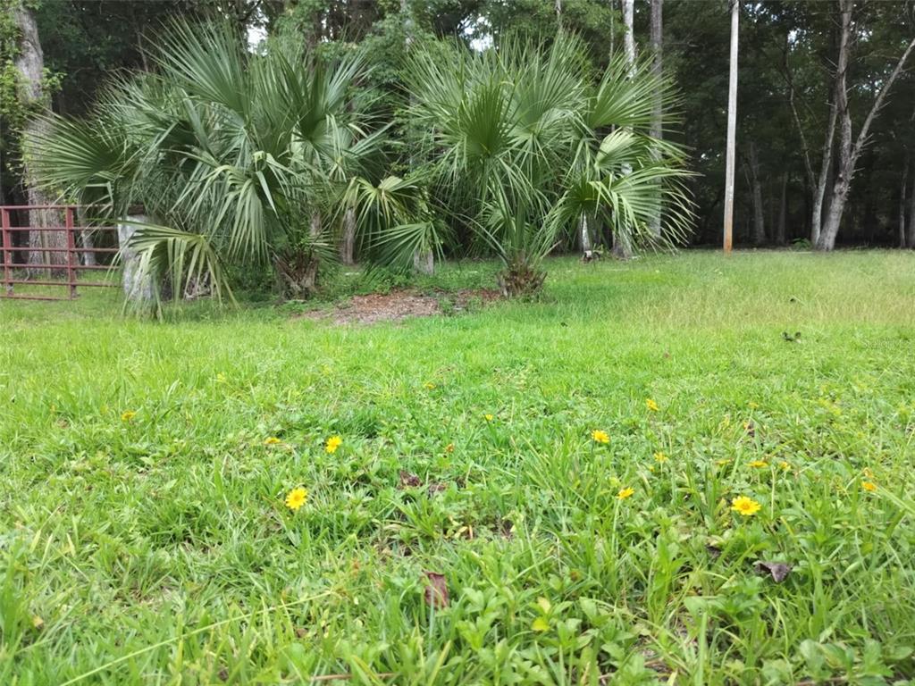 523 South Tuck Point Inverness, FL 34450 - Photo 18 of 28 a view of a garden