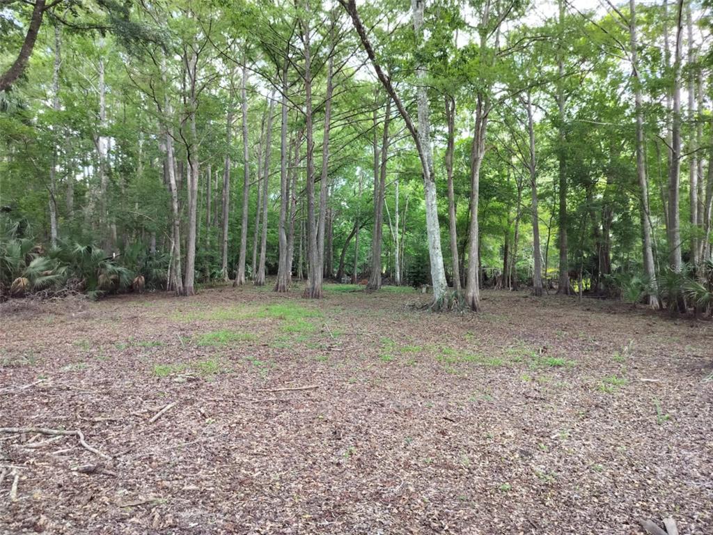 523 South Tuck Point Inverness, FL 34450 - Photo 20 of 28 a view of outdoor space with trees