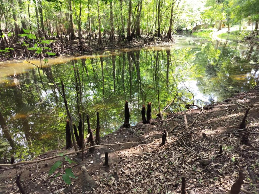 523 South Tuck Point Inverness, FL 34450 - Photo 21 of 28 a backyard of a house with lots of green space