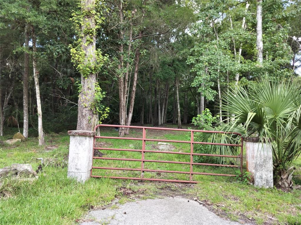 523 South Tuck Point Inverness, FL 34450 - Photo 25 of 28 a green field with lots of trees
