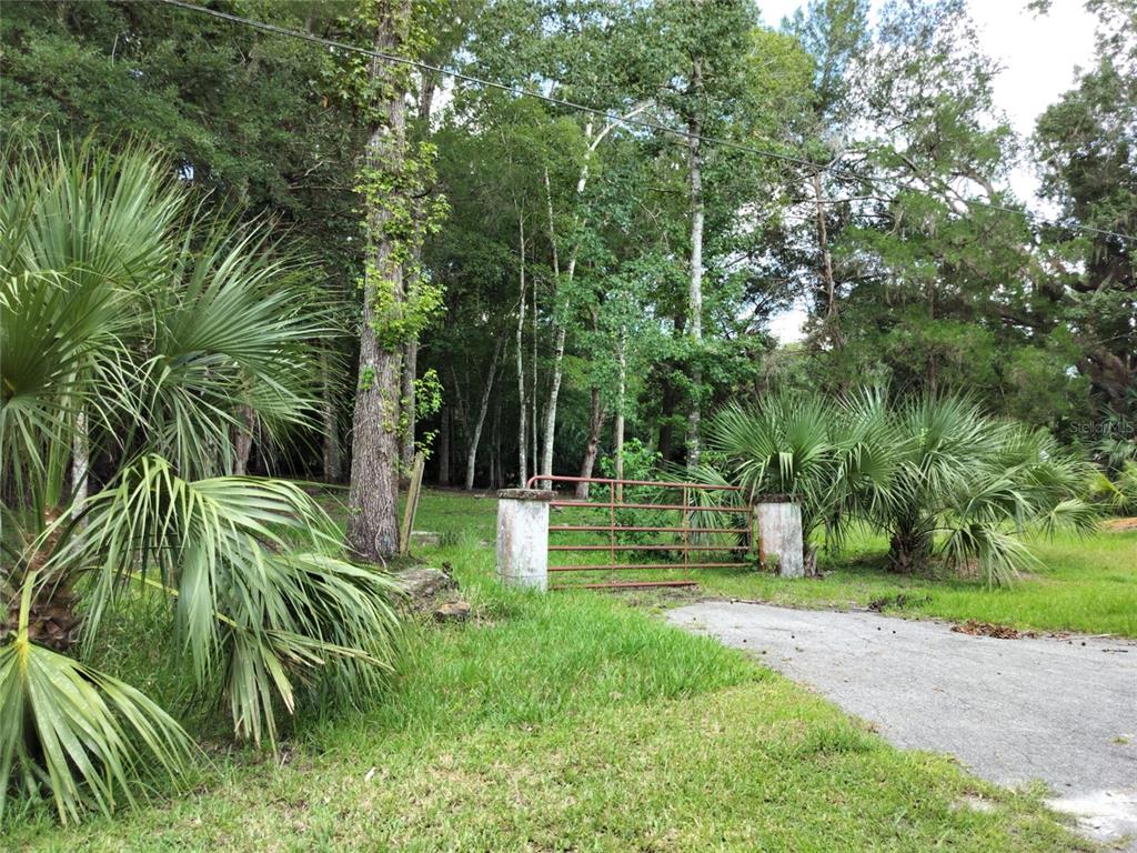 523 South Tuck Point Inverness, FL 34450 - Photo 3 of 28 a view of a backyard with a tree