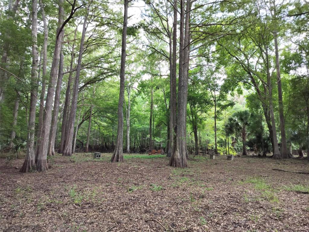 523 South Tuck Point Inverness, FL 34450 - Photo 4 of 28 a view of outdoor space and view of trees