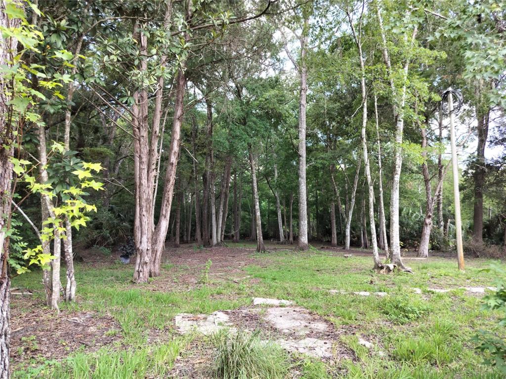 523 South Tuck Point Inverness, FL 34450 - Photo 8 of 28 a backyard of a house with lots of green space