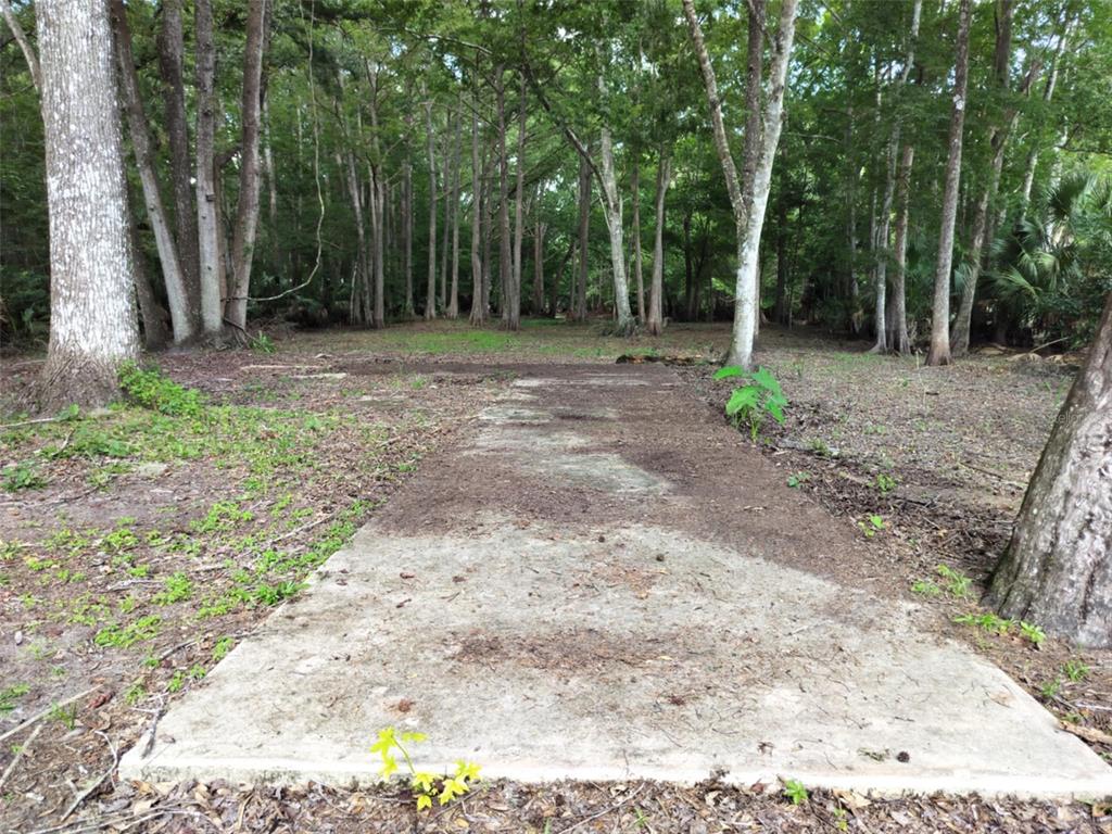 523 South Tuck Point Inverness, FL 34450 - Photo 9 of 28 a backyard of a house with lots of green space