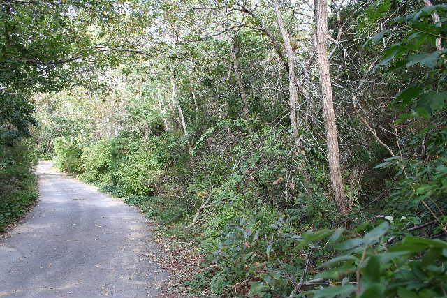 200 Helm Road Eastham, MA 02642 - Photo 1 of 1 Primary Photo
