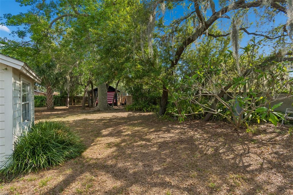 118 Horst Road Brandon, FL 33510 - Photo 46 of 68
