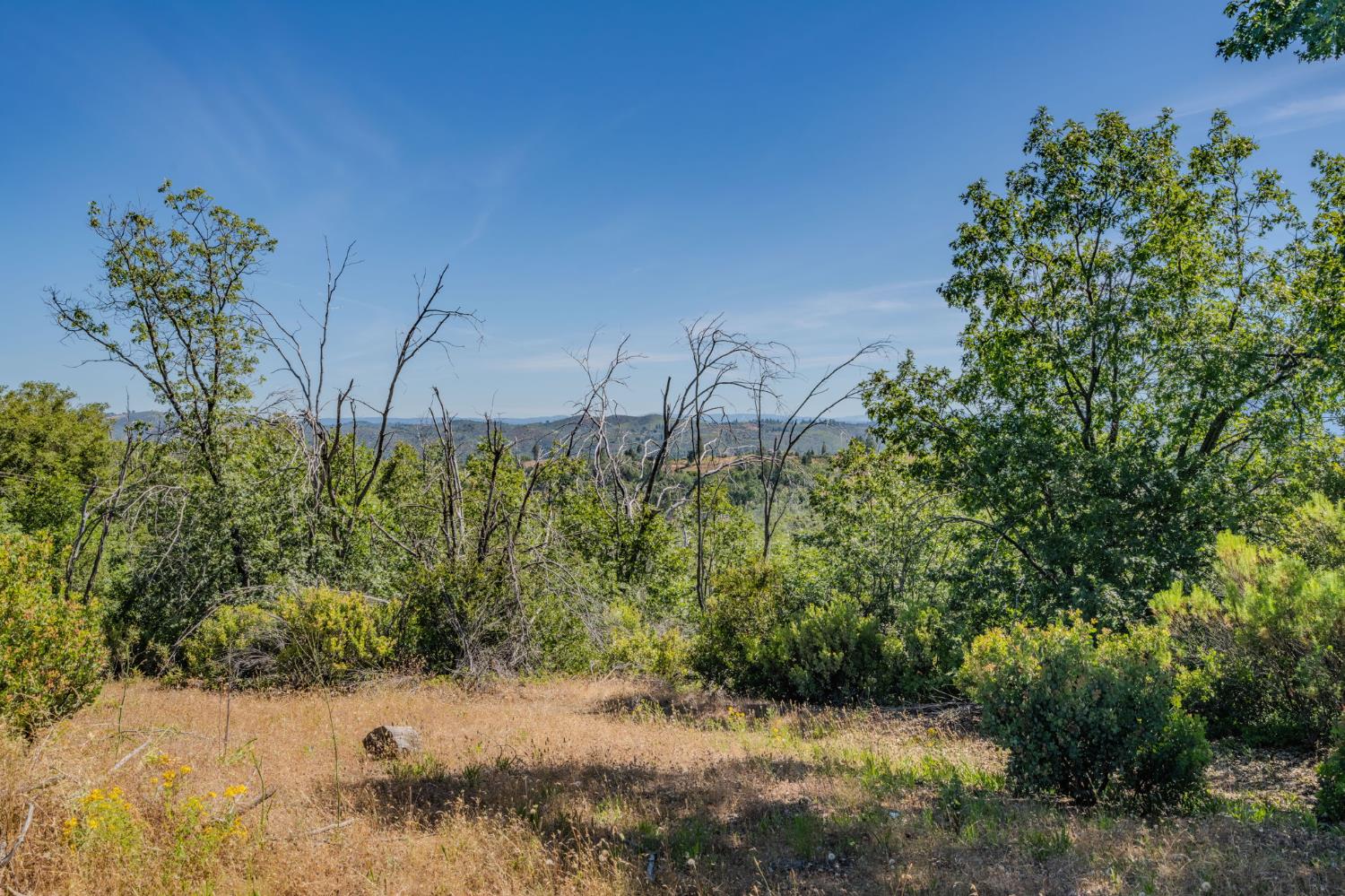 7256 Nikki Mountain Ranch Mountain Ranch, CA 95246 - Photo 20 of 27