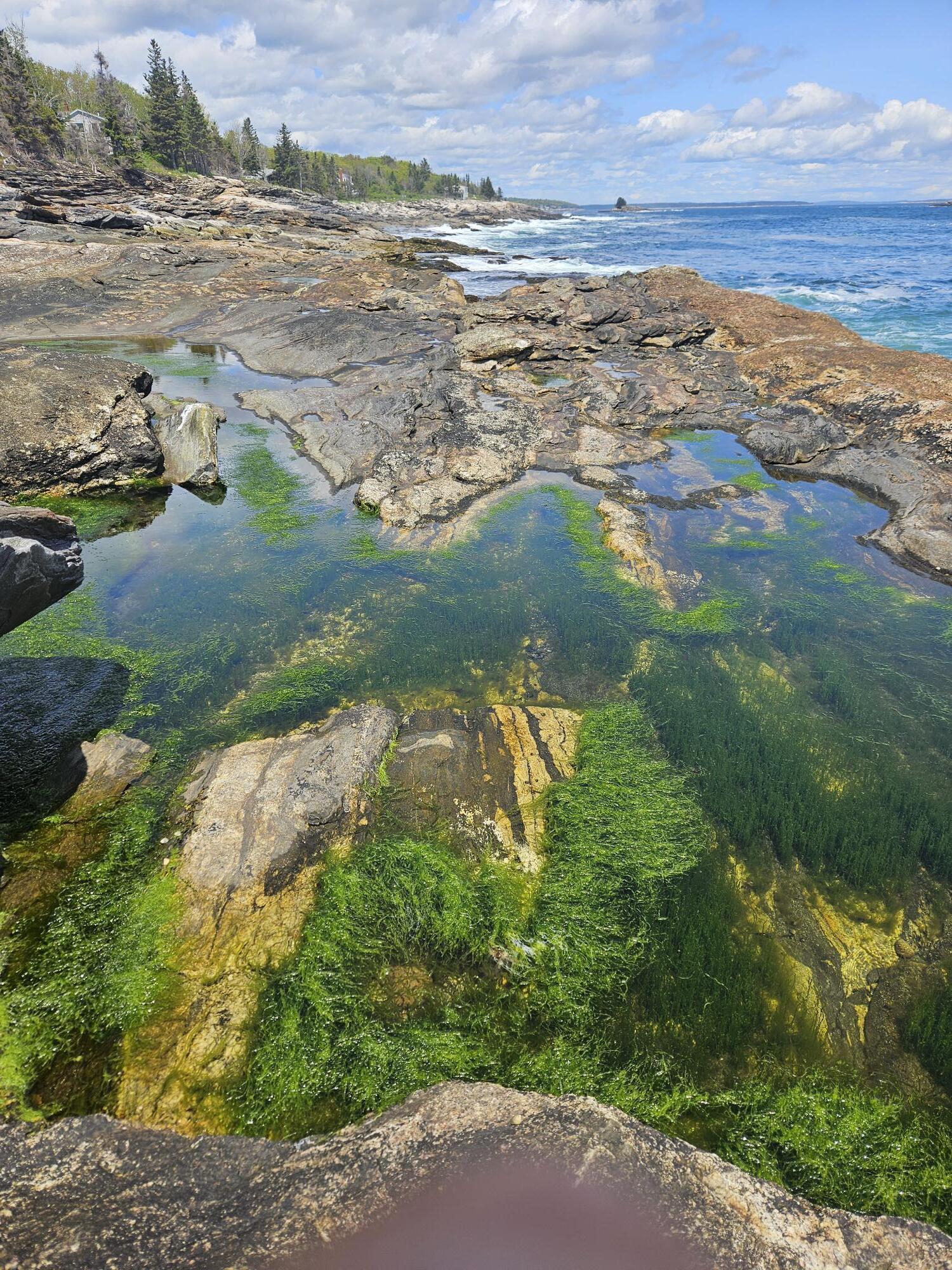 42 Old Mill Road New Harbor, ME 04554 - Photo 55 of 65 Cunner Rock
