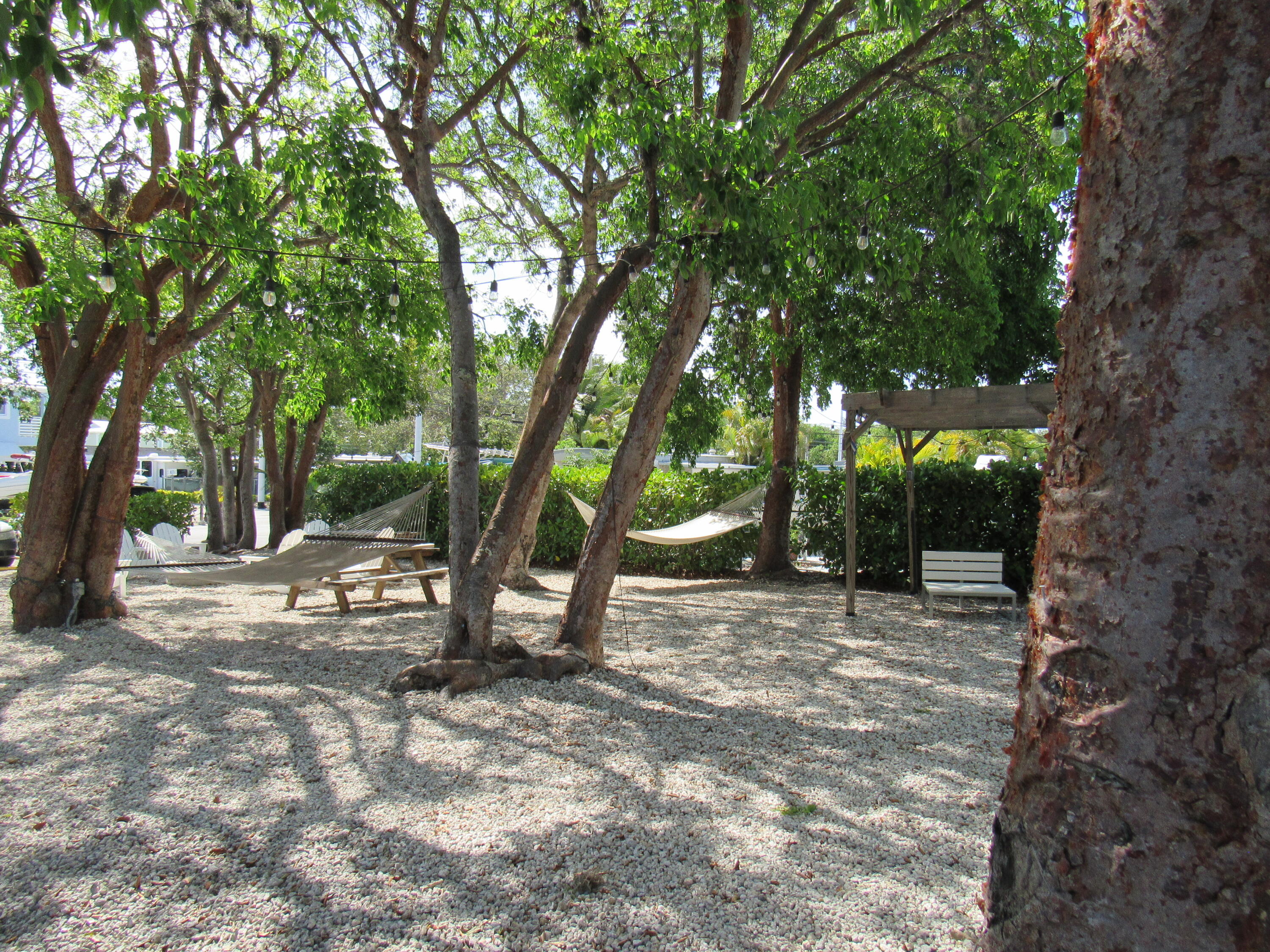 325 Calusa Street, Unit 15 Key Largo, FL 33037 - Photo 17 of 32 a view of outdoor space with trees