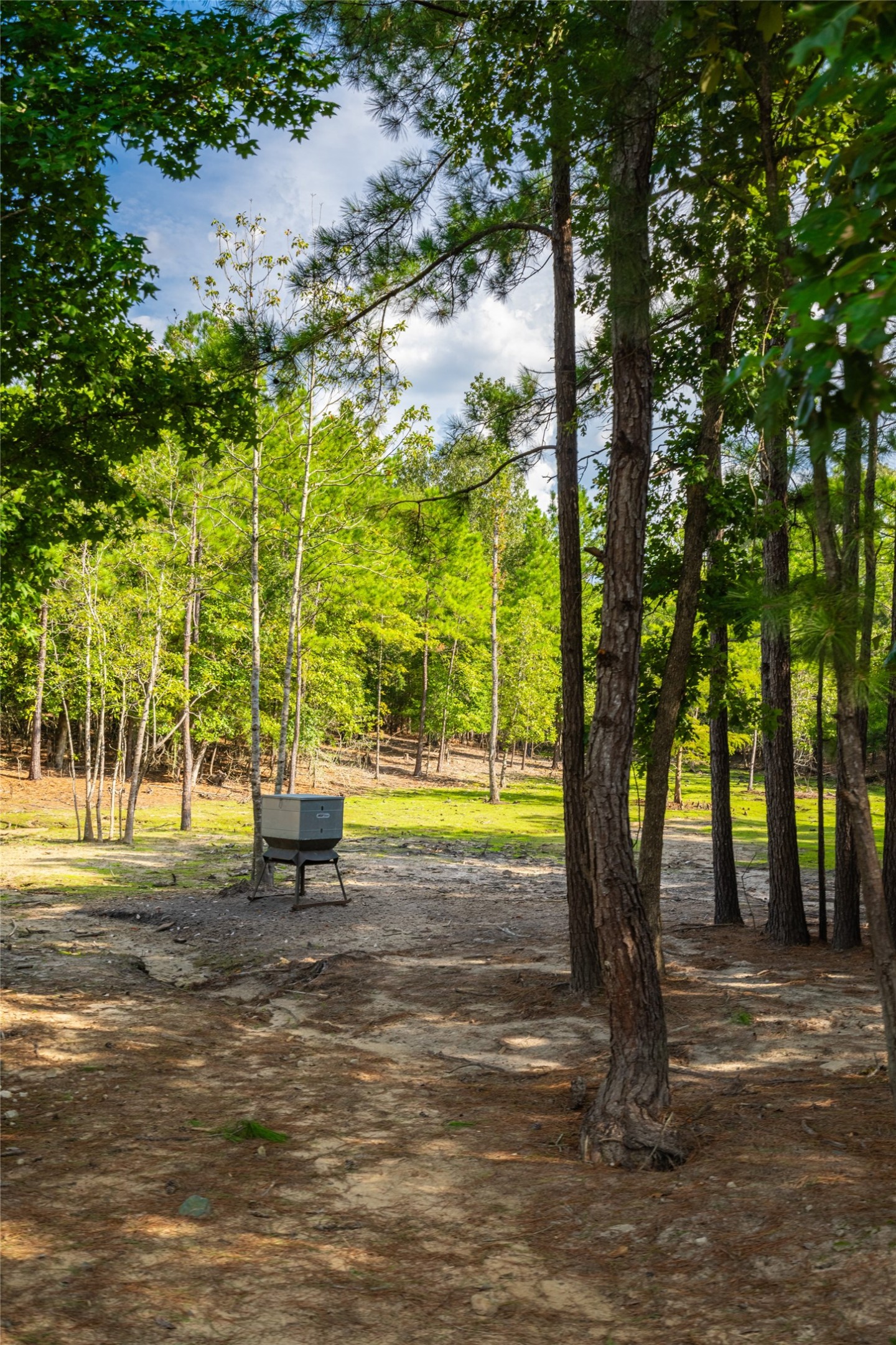 0 Weaver Bend Road Huntington, TX 75949 - Photo 27 of 36 Gallery Image 27