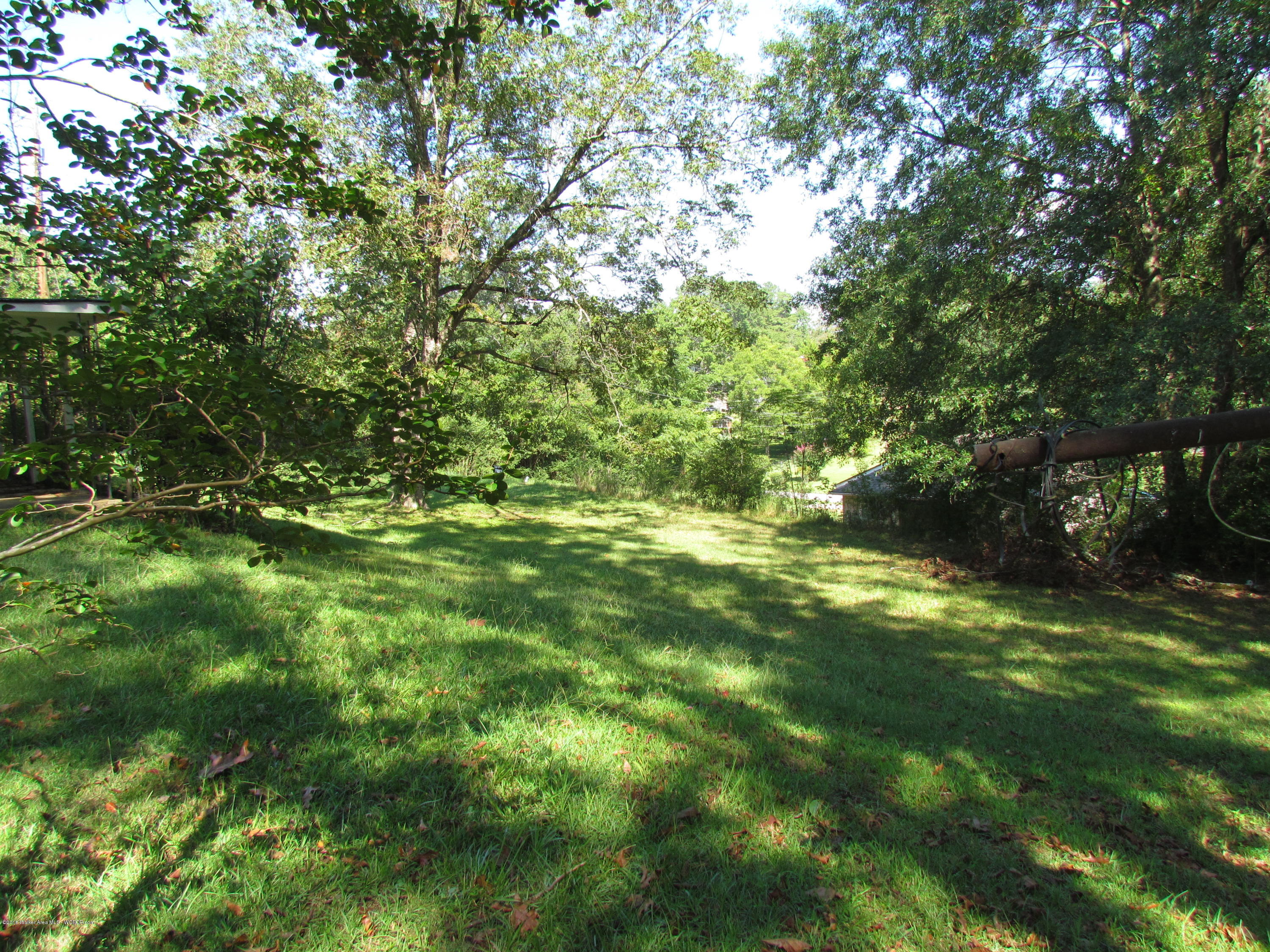 524 Thorndale Road Winfield, AL 35594 - Photo 11 of 12 Gallery Image 11