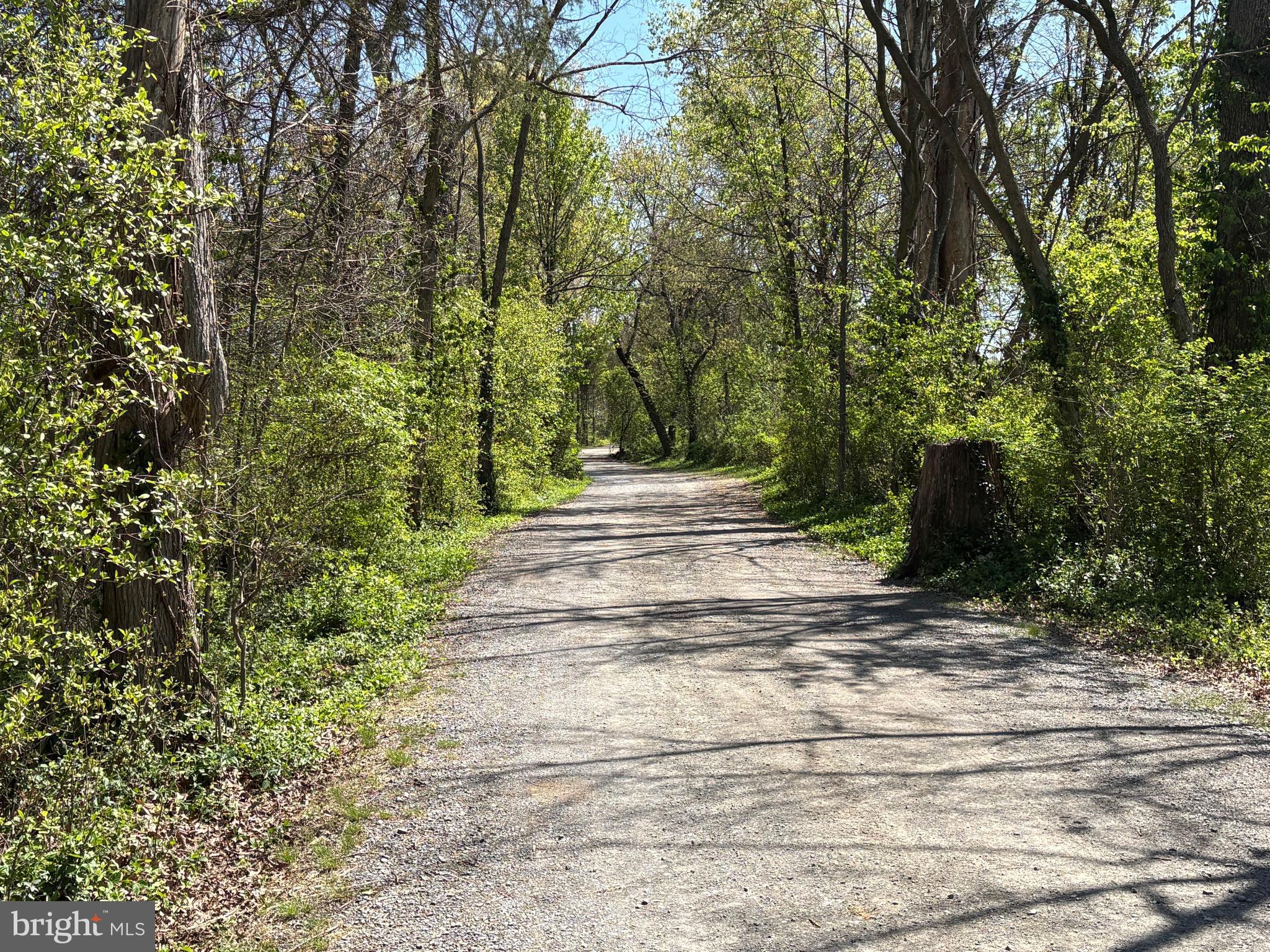 13392 Point Rider Lane Herndon, VA 20171 - Photo 11 of 18