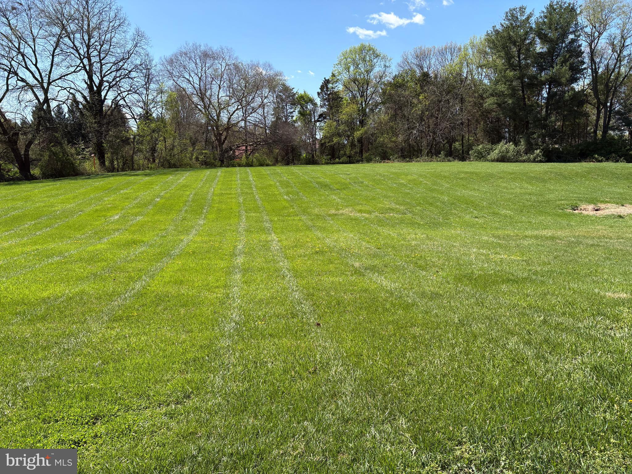 13392 Point Rider Lane Herndon, VA 20171 - Photo 8 of 18