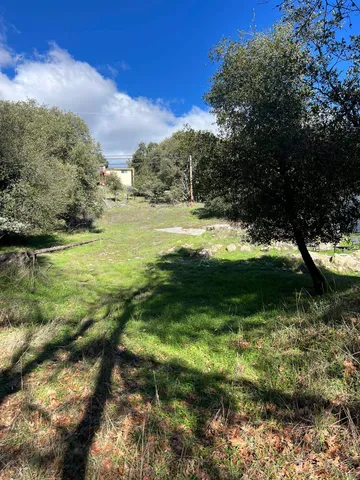 a view of a garden from a lake