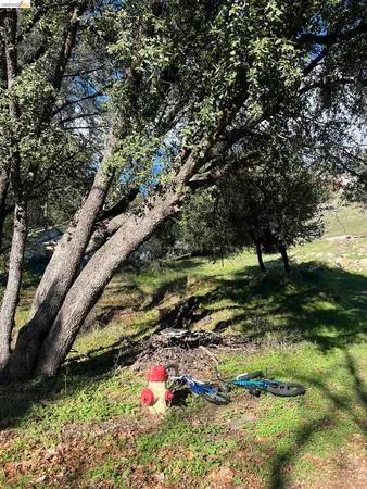 a view of a yard with a house