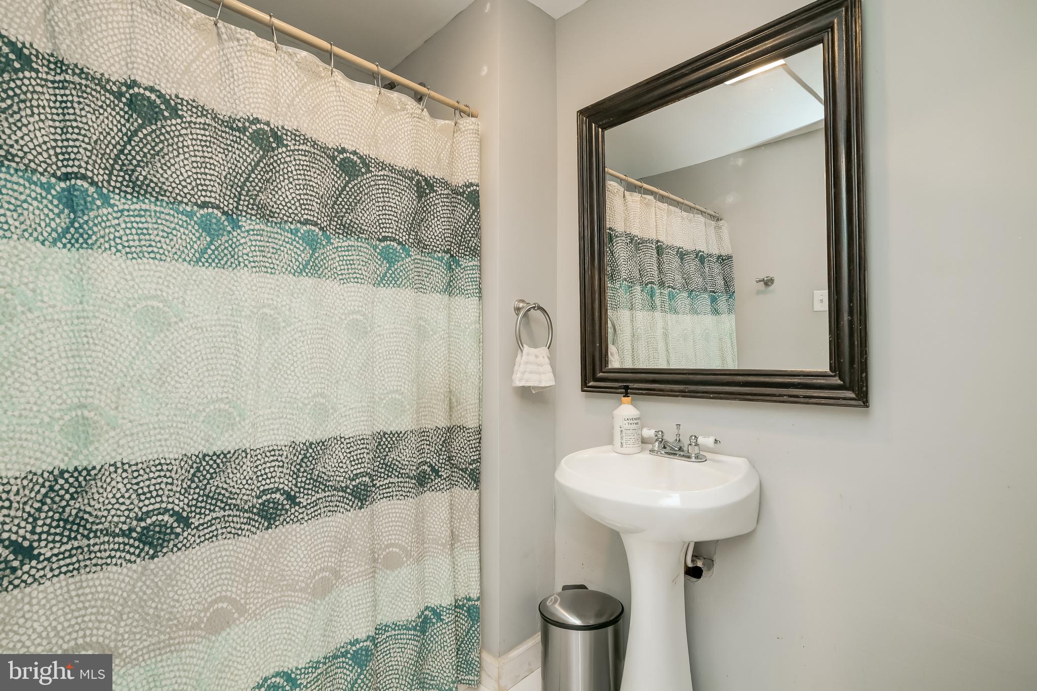 619 Park Ridge Drive Mount Airy, MD 21771 - Photo 39 of 59 Full Bath #3 - Basement