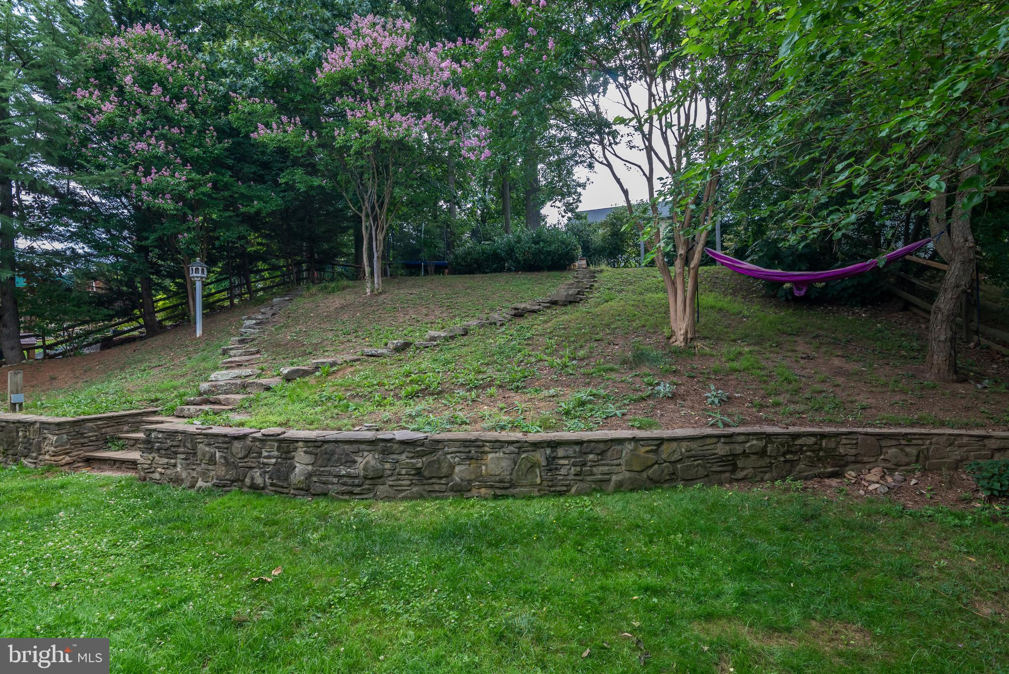 619 Park Ridge Drive Mount Airy, MD 21771 - Photo 49 of 59 Rear Yard