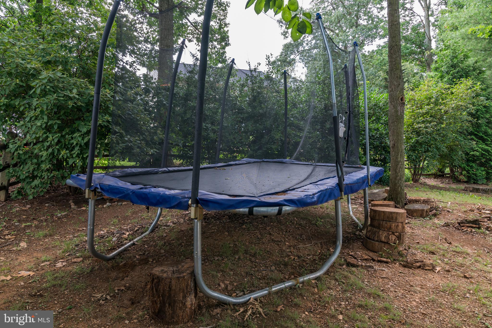 619 Park Ridge Drive Mount Airy, MD 21771 - Photo 53 of 59 Play
