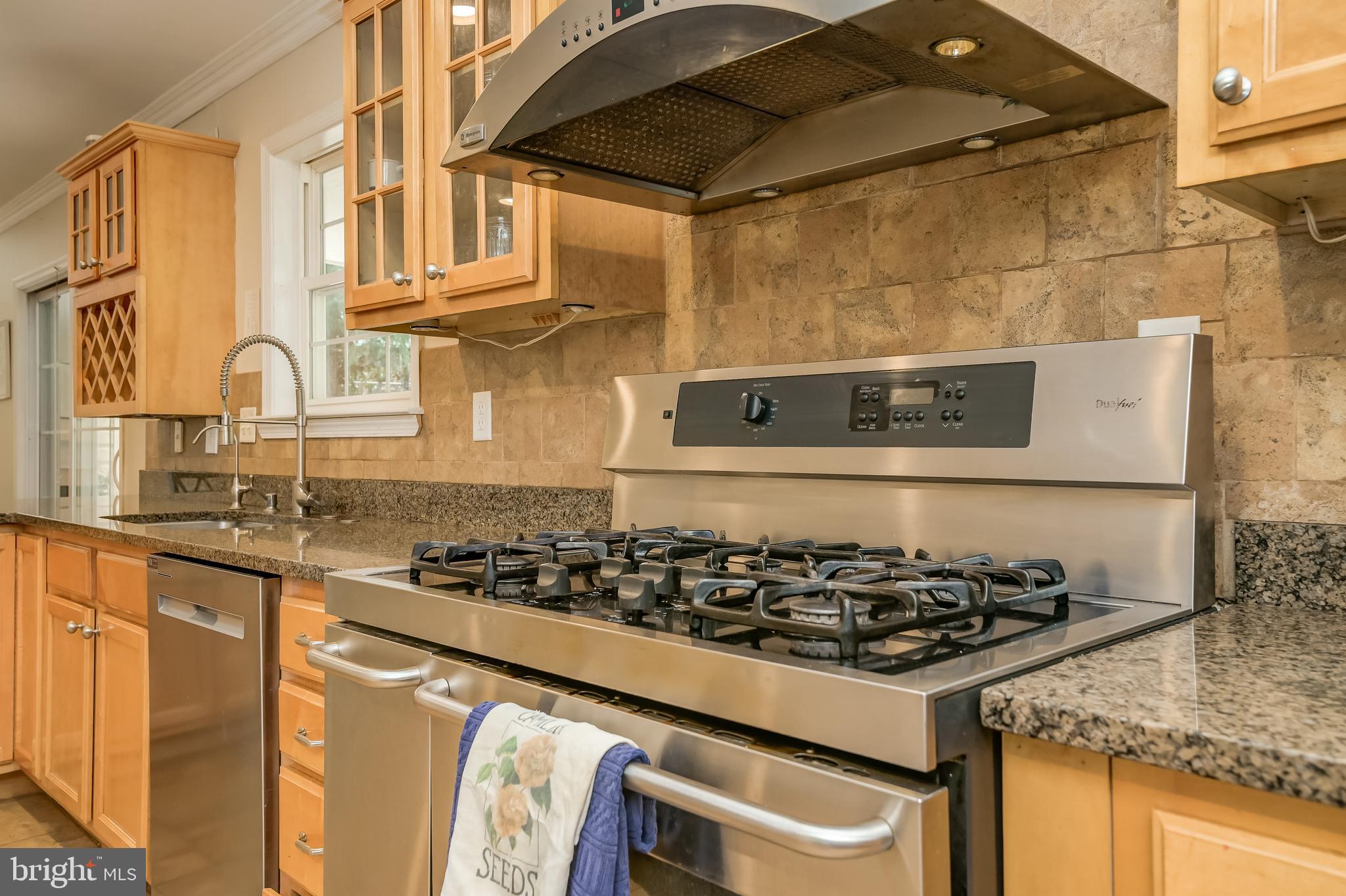 619 Park Ridge Drive Mount Airy, MD 21771 - Photo 9 of 59 Kitchen