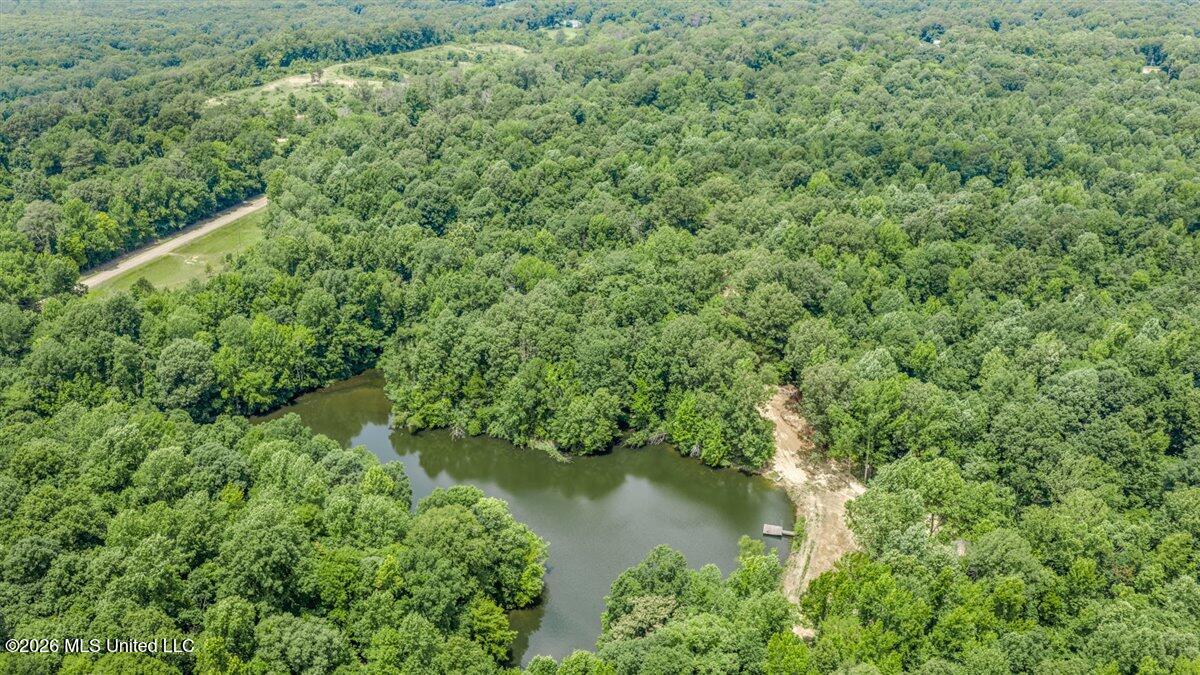 5317 Highway 3 Sarah, MS 38665 - Photo 15 of 24 IMG_1793
