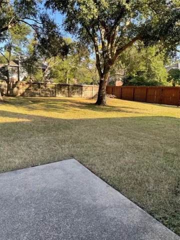 a view of a backyard with plants and large tree