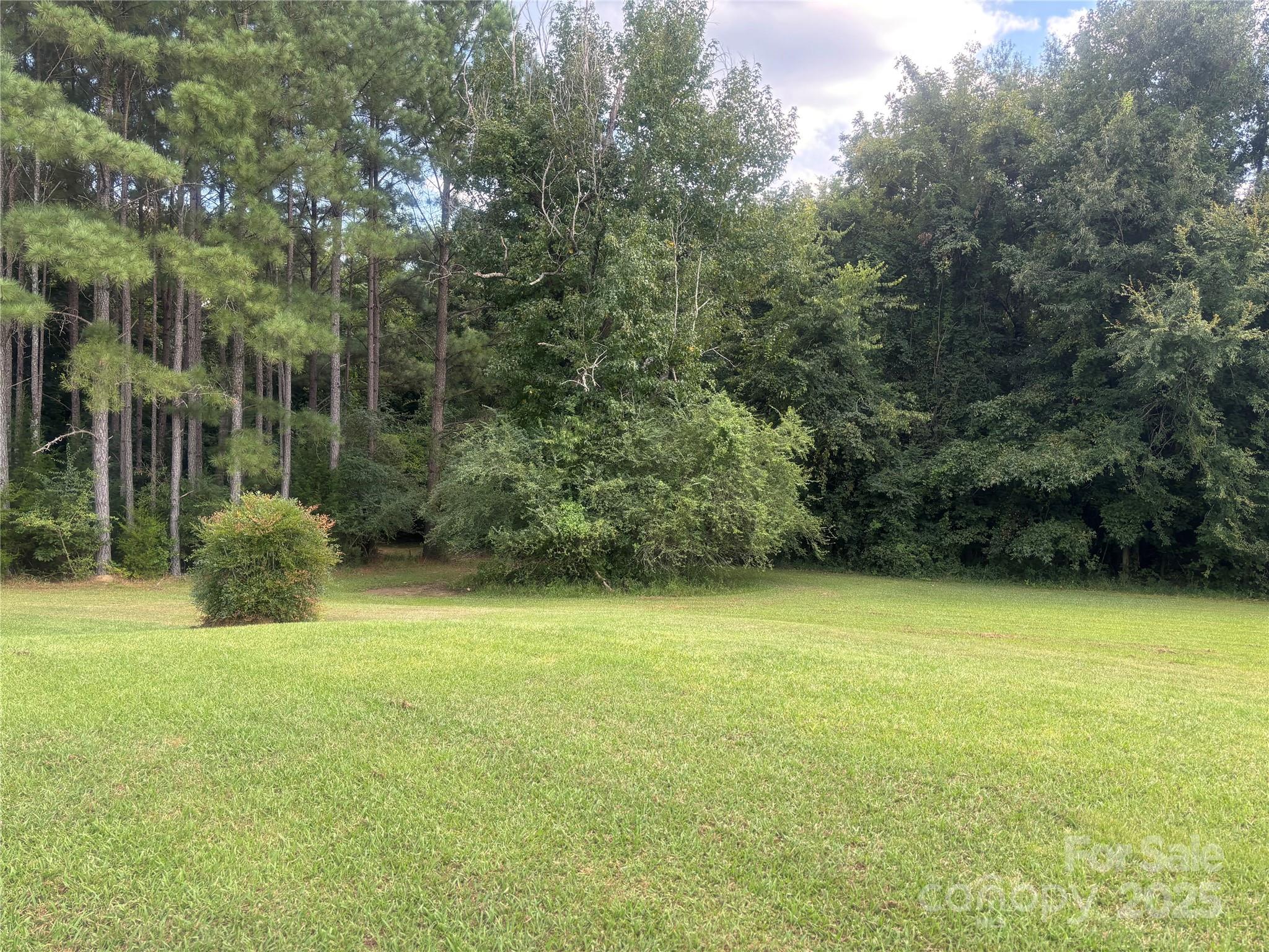 7047 White Store Road Wadesboro, NC 28170 - Photo 7 of 8