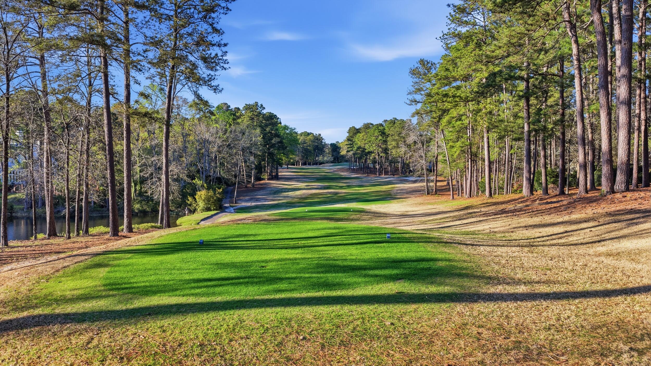 261 Magnolia Lake Road Aiken, SC 29803 - Photo 53 of 59