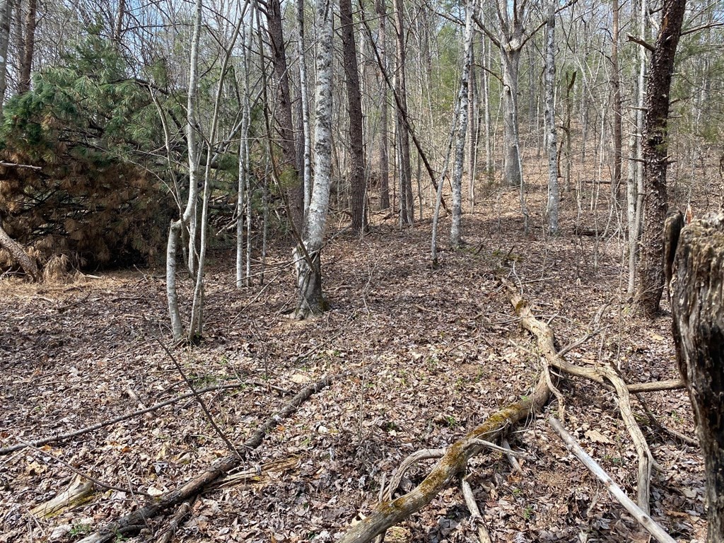 0 Pittman Center Road Sevierville, TN 37876 - Photo 2 of 4
