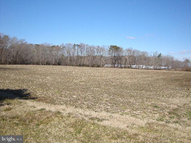 4701 Big Mill Road Stockton, MD 21864 - Photo 12 of 12 Gallery Image 12