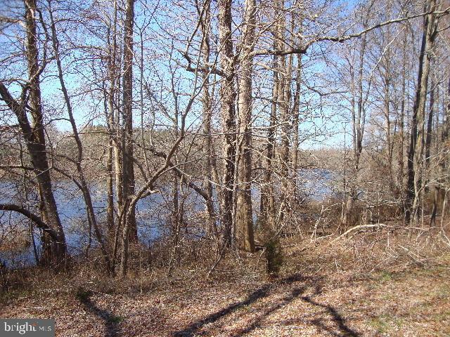 4701 Big Mill Road Stockton, MD 21864 - Photo 8 of 12 Gallery Image 8