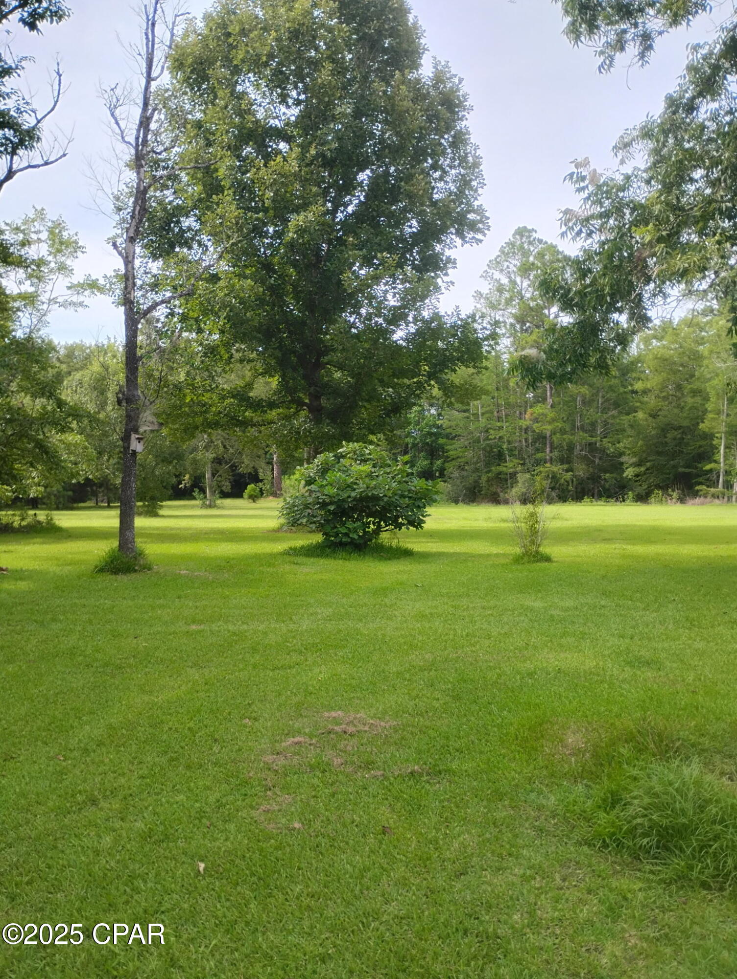 0 Hwy 77 Chipley Chipley, FL 32428 - Photo 19 of 23