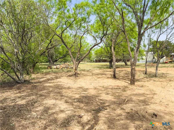 a view of empty space with large trees