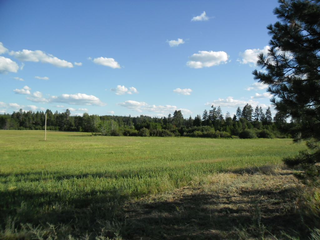 Xxx East Nelson Road Elk, WA 99009 - Photo 1 of 11