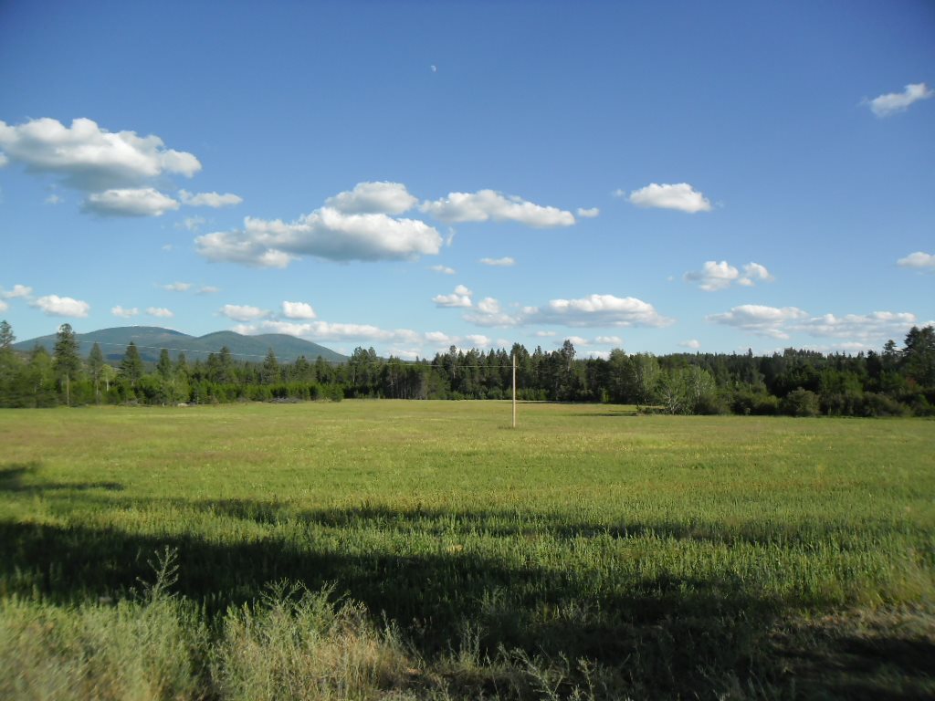 Xxx East Nelson Road Elk, WA 99009 - Photo 2 of 11