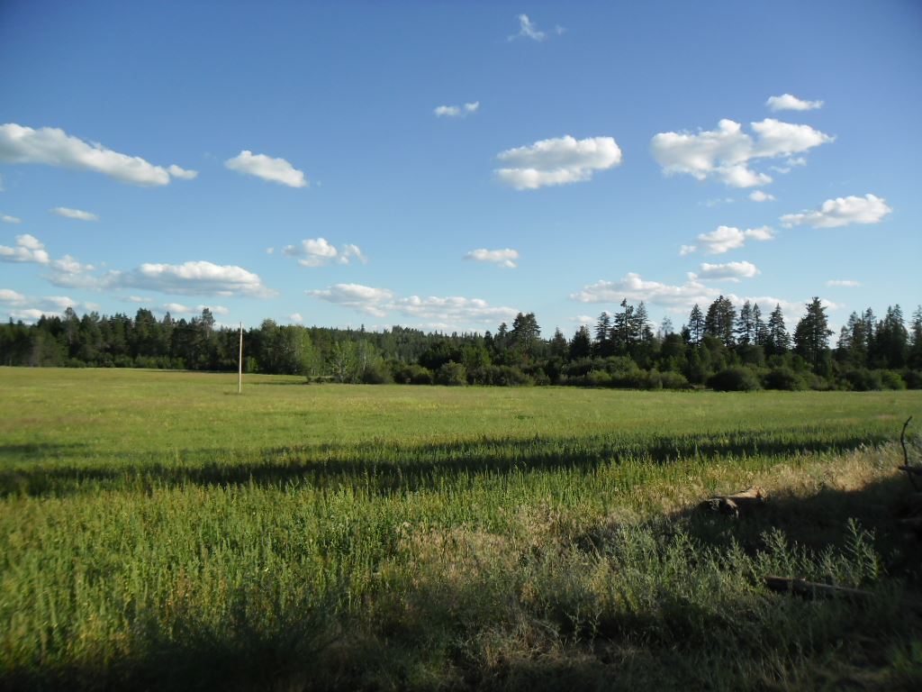 Xxx East Nelson Road Elk, WA 99009 - Photo 3 of 11