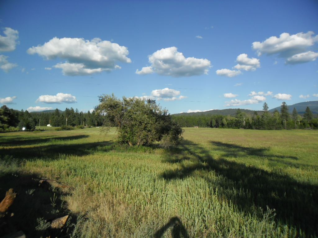 Xxx East Nelson Road Elk, WA 99009 - Photo 4 of 11