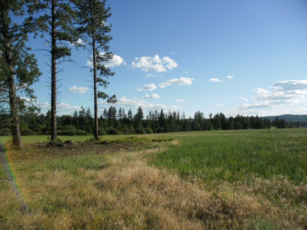 Xxx East Nelson Road Elk, WA 99009 - Photo 5 of 11