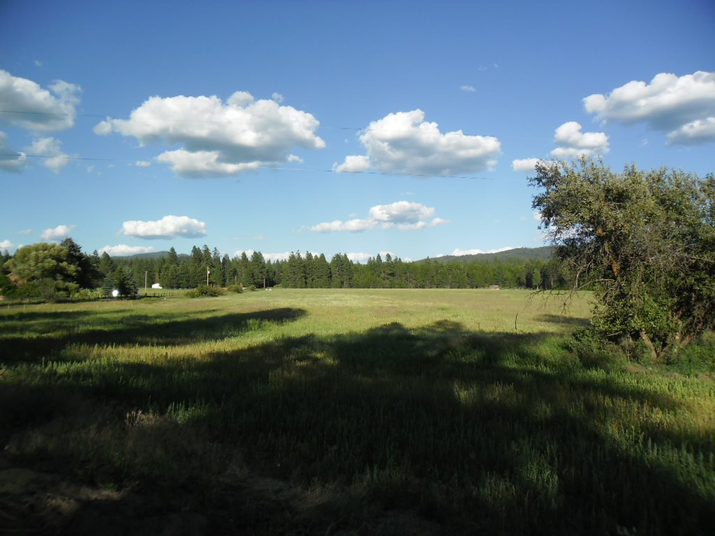Xxx East Nelson Road Elk, WA 99009 - Photo 6 of 11