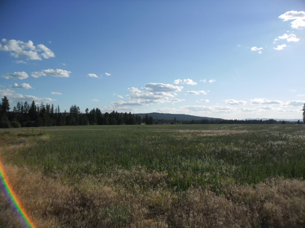 Xxx East Nelson Road Elk, WA 99009 - Photo 7 of 11