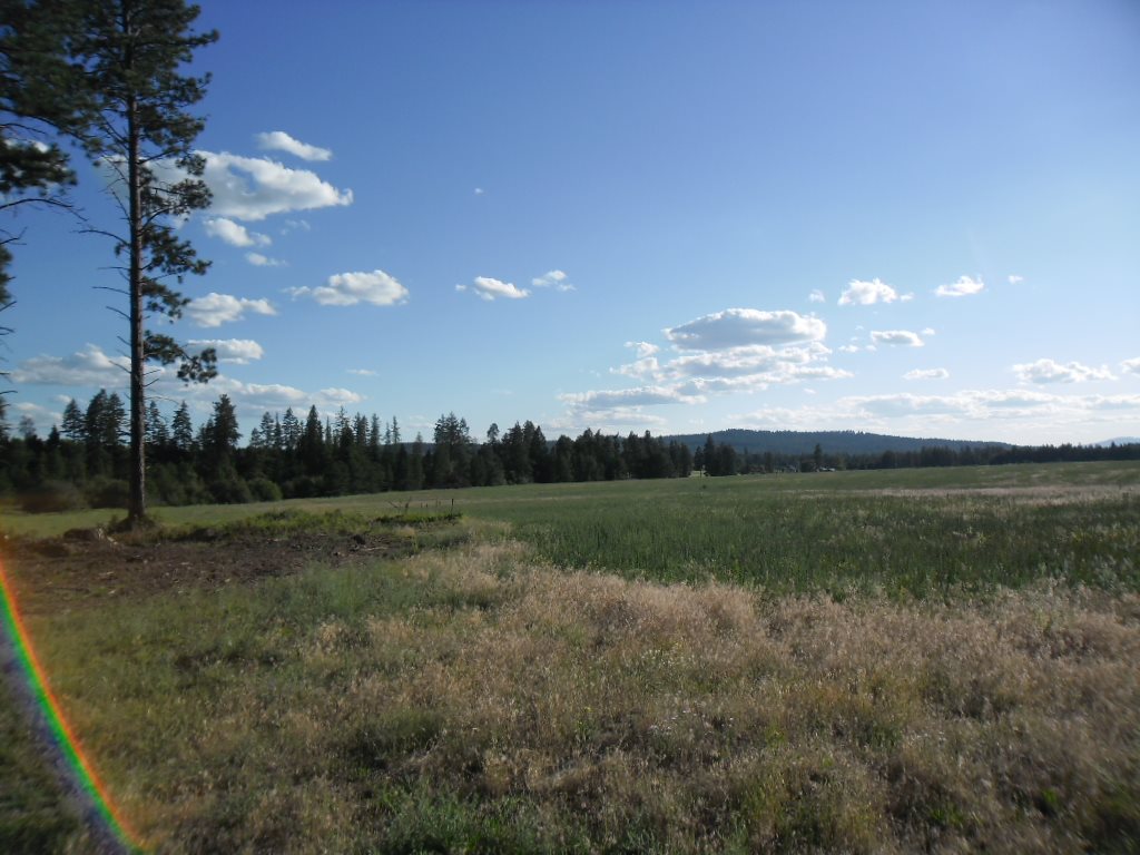 Xxx East Nelson Road Elk, WA 99009 - Photo 8 of 11