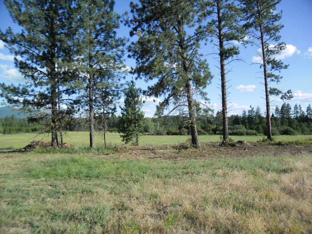 Xxx East Nelson Road Elk, WA 99009 - Photo 9 of 11