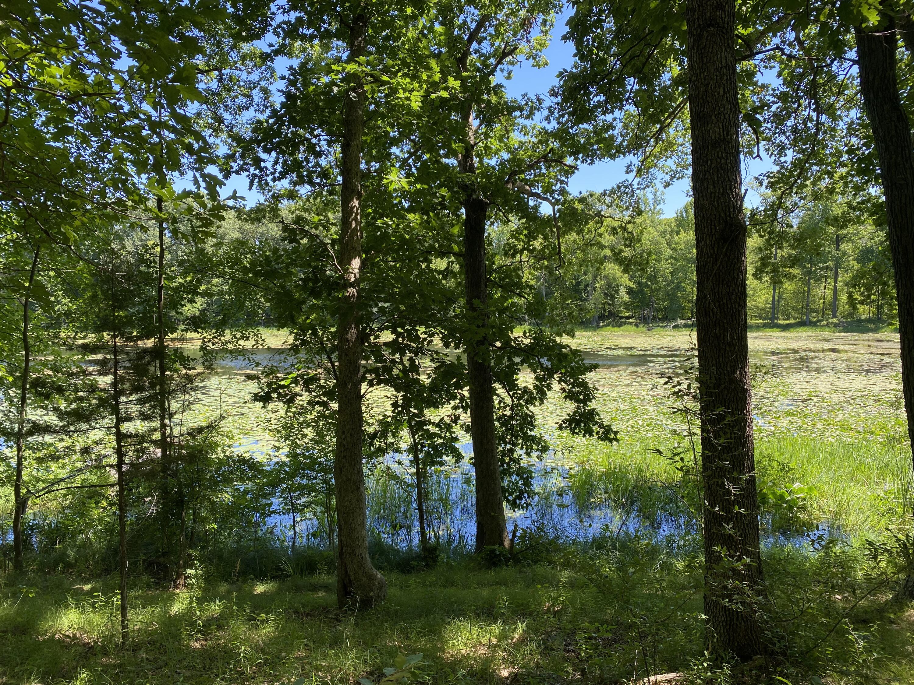2291 West Liberty Road Horton, MI 49246 - Photo 5 of 13 IMG_6458