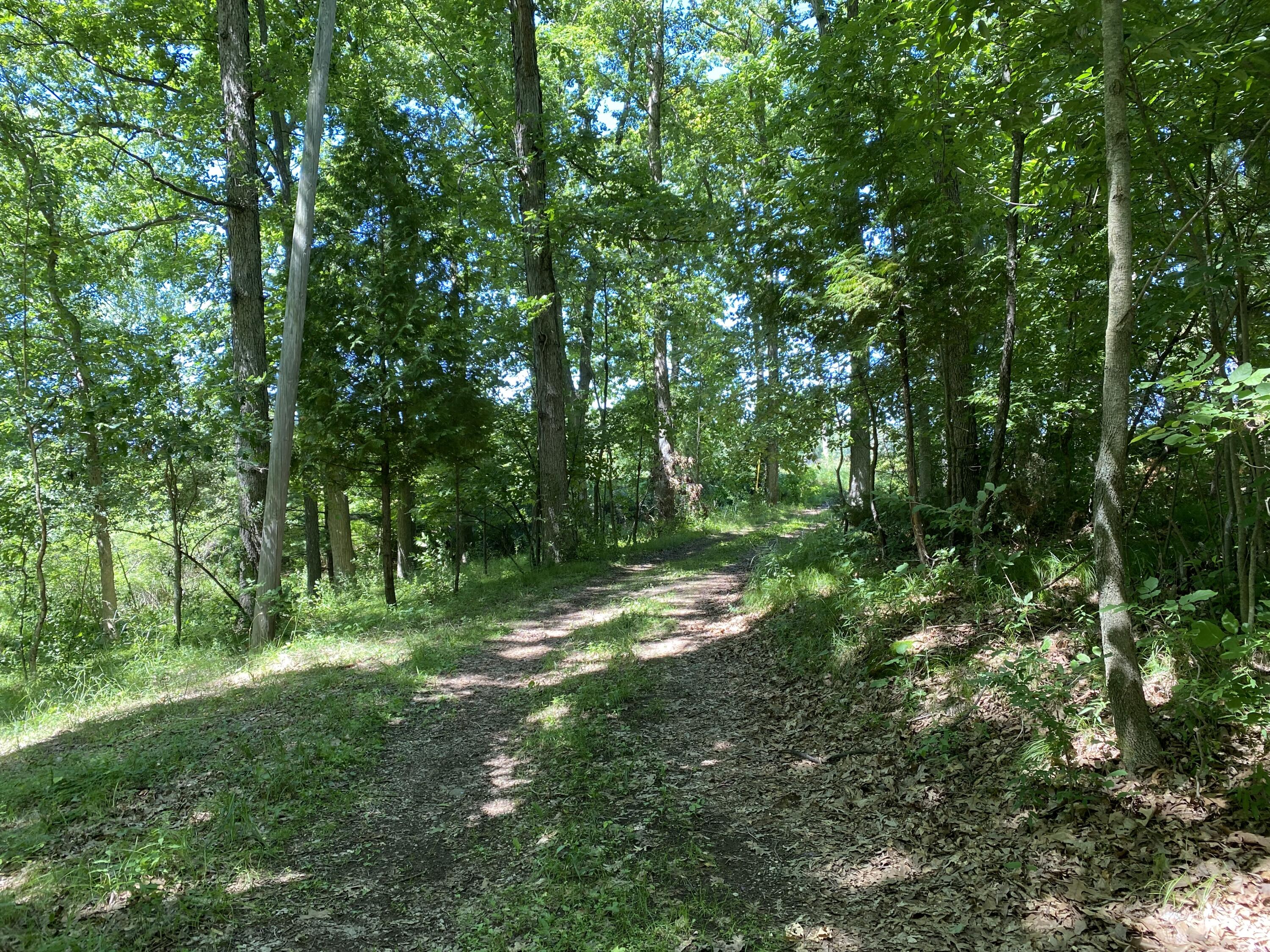 2291 West Liberty Road Horton, MI 49246 - Photo 7 of 13 IMG_6453