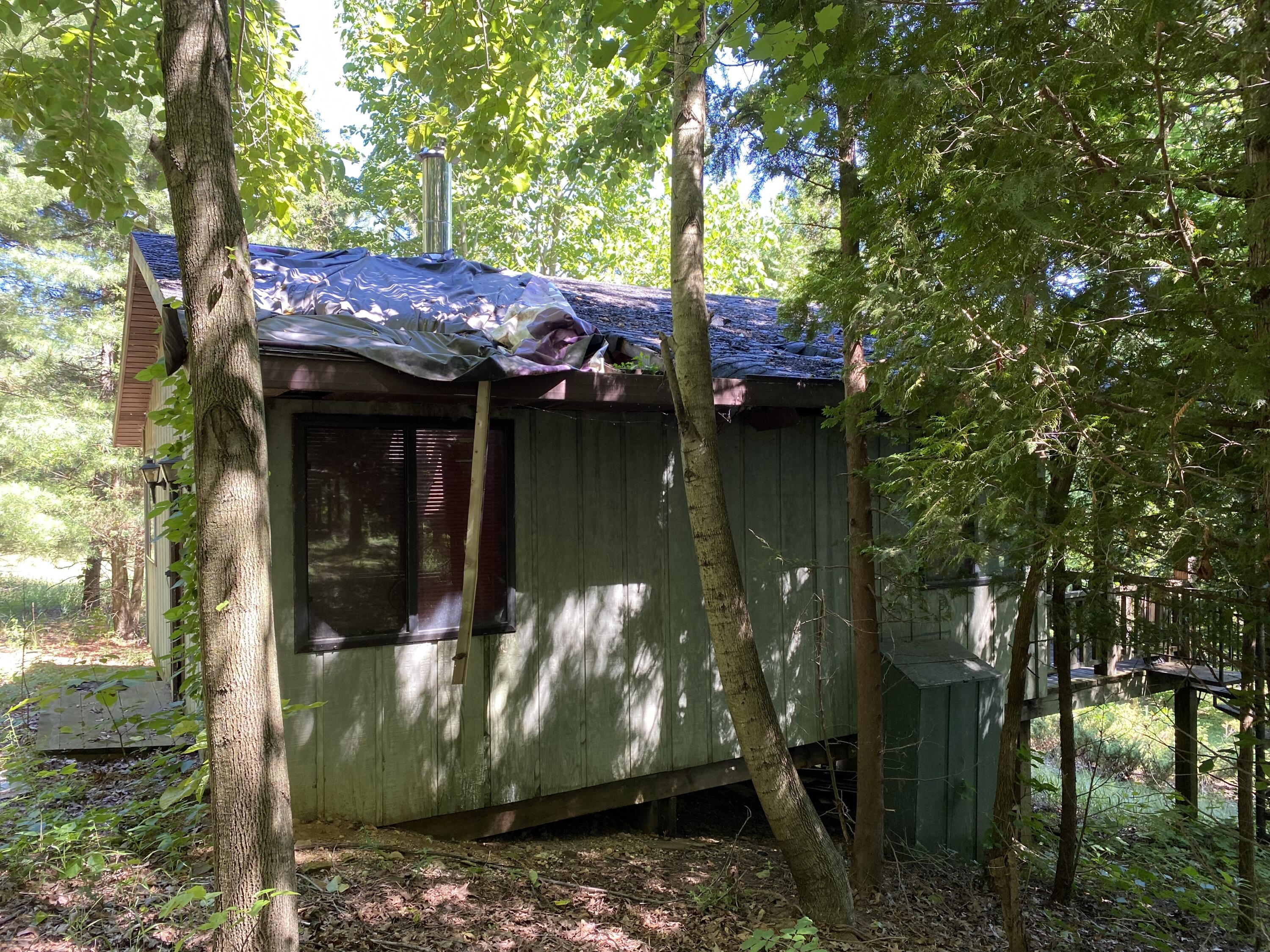 2291 West Liberty Road Horton, MI 49246 - Photo 9 of 13 cabin roof
