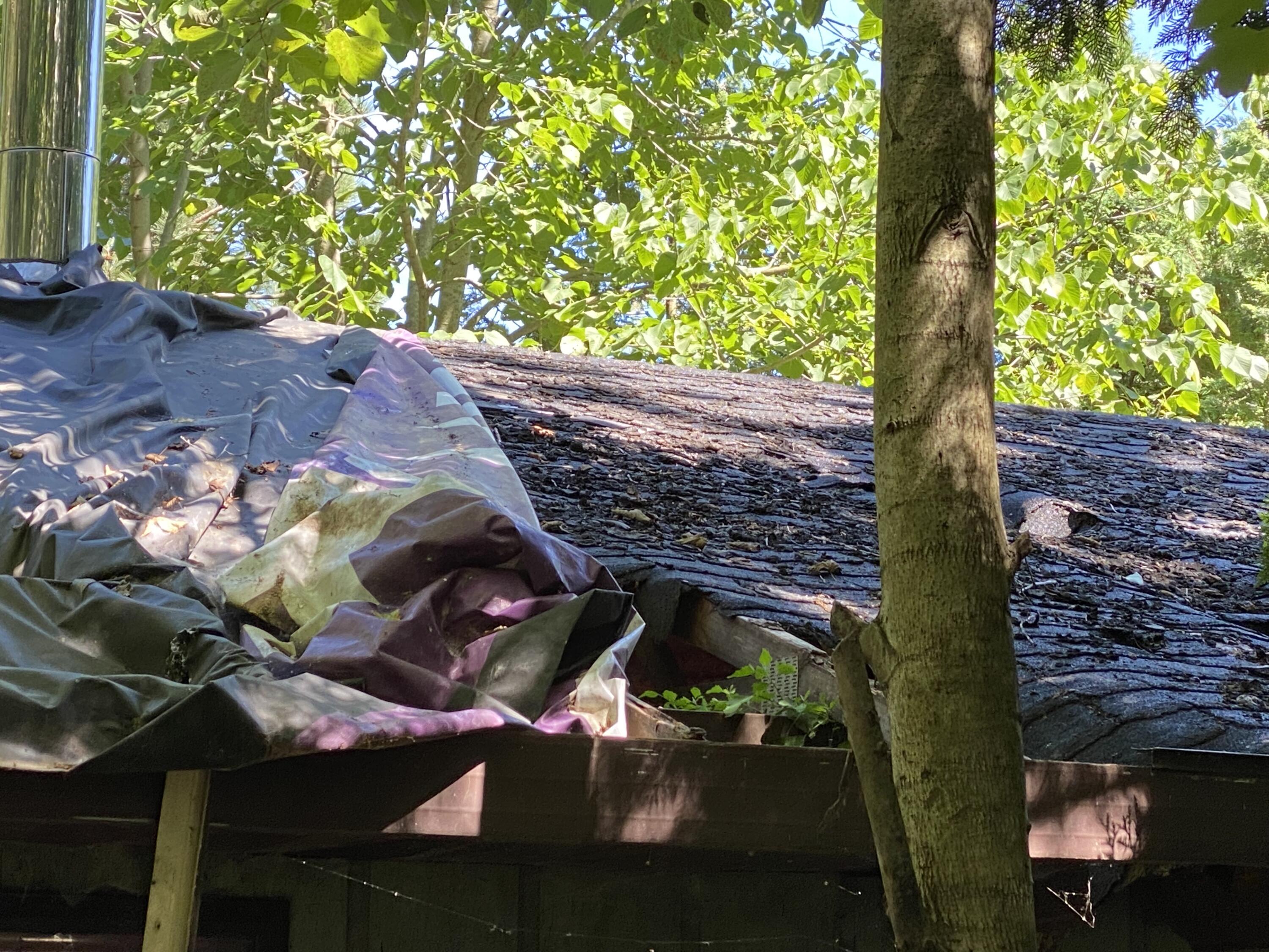 2291 West Liberty Road Horton, MI 49246 - Photo 10 of 13 cabin roof