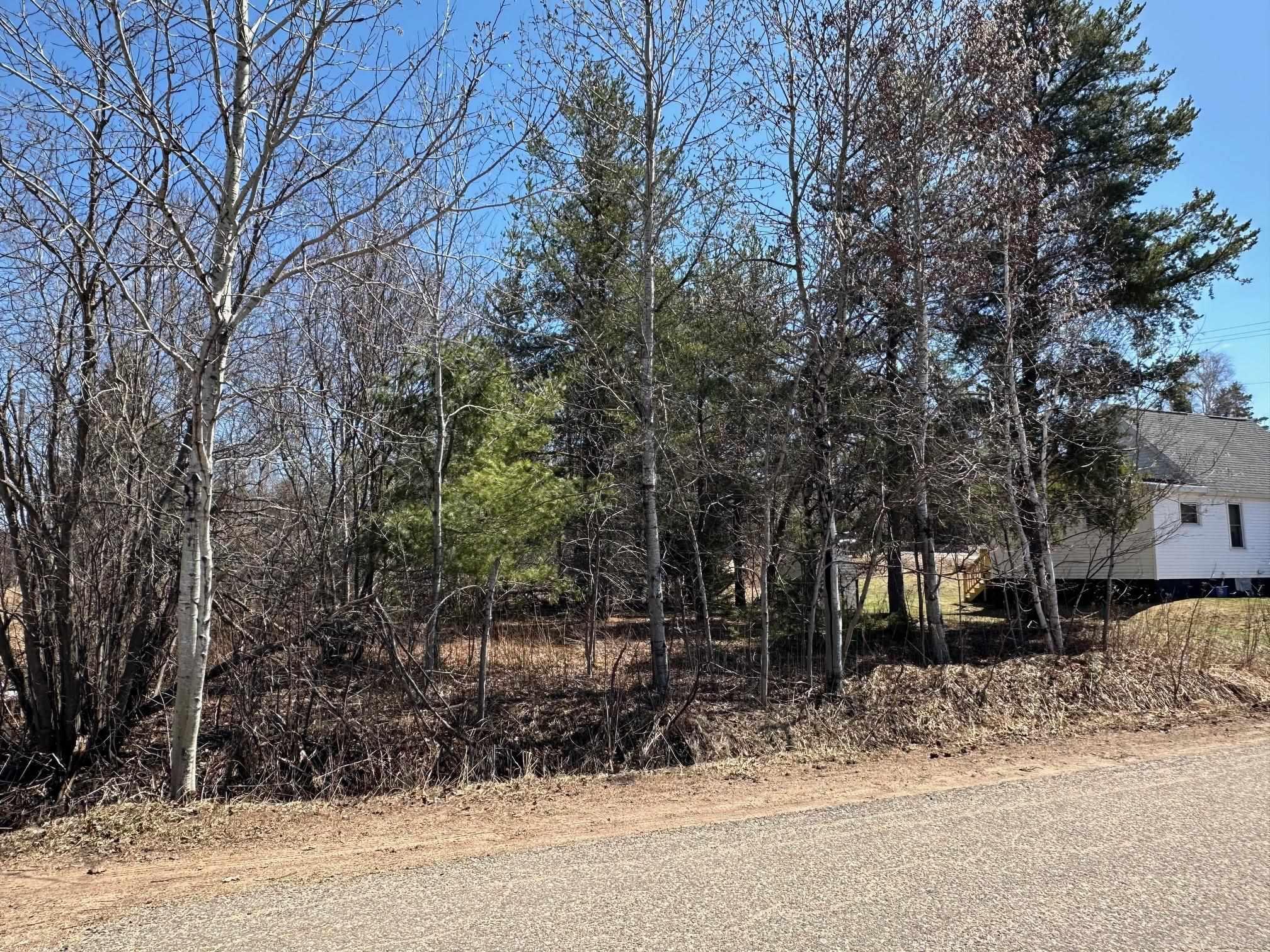 175 Gold Street Ishpeming, MI 49849 - Photo 2 of 5