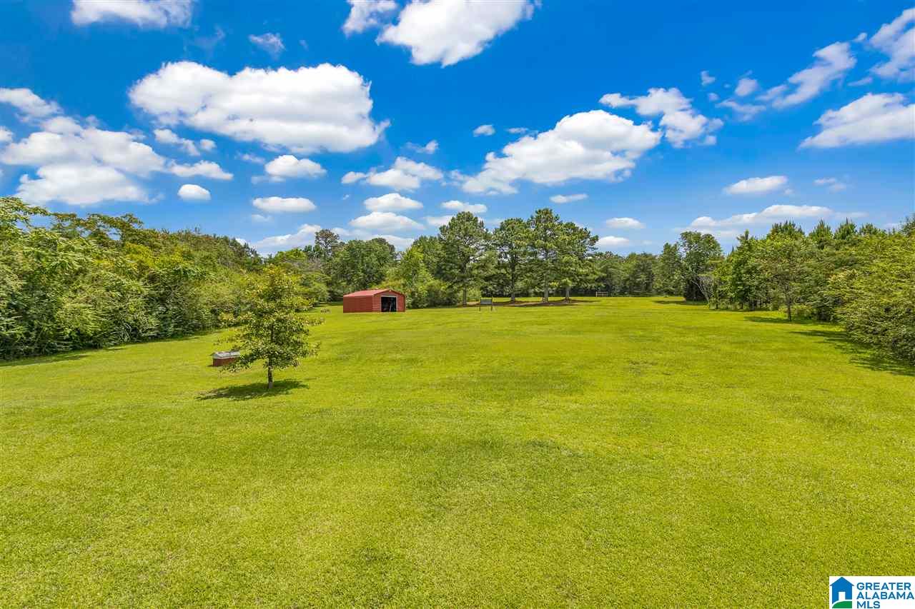 7677 County Road 27 Springville, AL 35146 - Photo 28 of 32