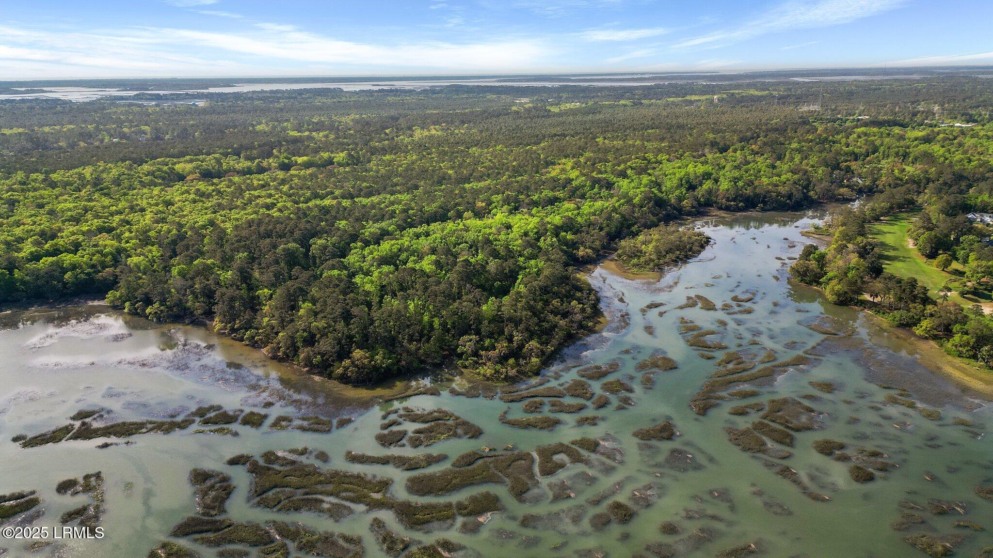 86 Meridian Point Drive Bluffton, SC 29910 - Photo 21 of 24 9-web-or-mls-DJI_0071